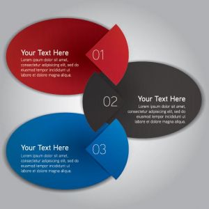 Infographics pie chart label vector