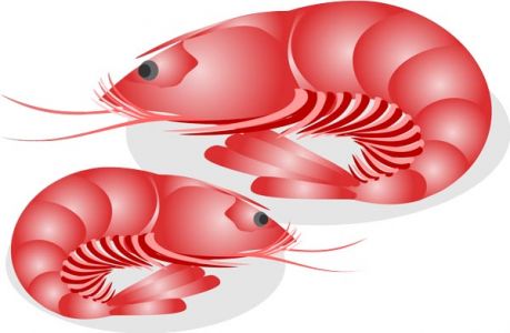 Japanese seafood vectors