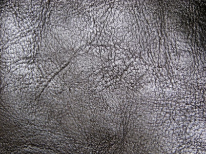 Leather Texture