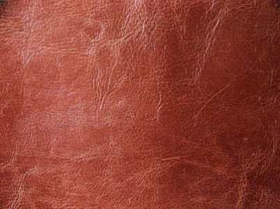 Leather Texture