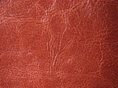 Leather Texture