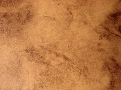 Leather Texture