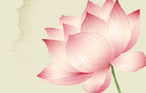 Lotus vector banner