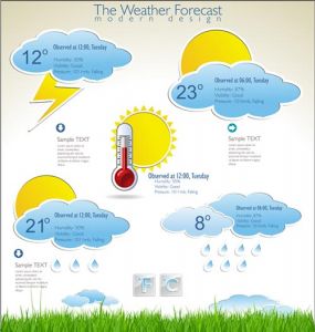 Meteorology information label vector