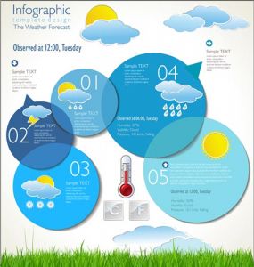 Meteorology information label vector