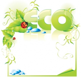 Natural green eco vector