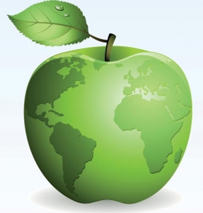 Natural green apple vector