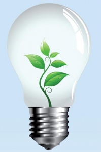 Natural green light bulb vector