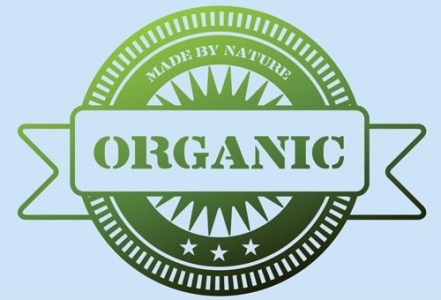 Natural green organic vector