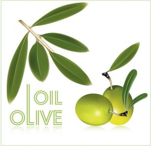 Olive oil vector labels