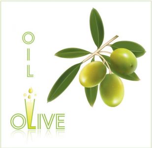 Olive oil vector labels