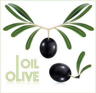 Olive oil vector labels