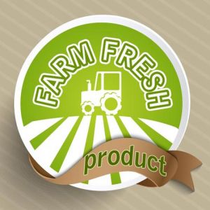 Organic food eco-labeling vector