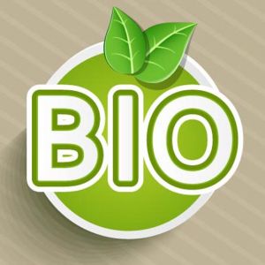 Organic food eco-labeling vector