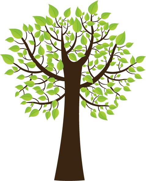 Ornamental trees vector illustrations