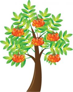 ornamental-tree-vector-illustration8