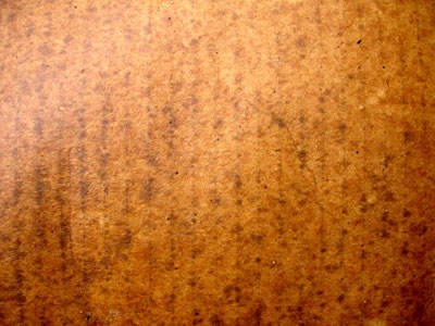 Paper cardboard texture