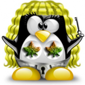 Penguin avatar