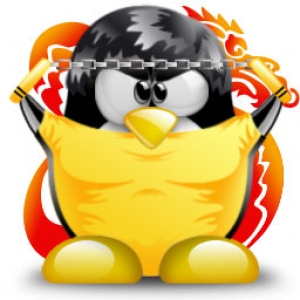 Penguin avatar