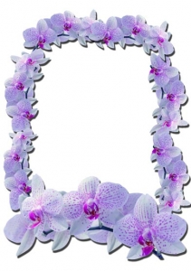 Photoshop flower frame