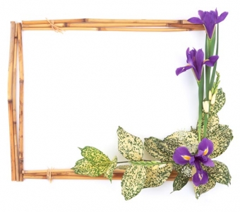 Frame with flowers design