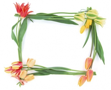 Frame with flowers design