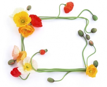 Flower frame template