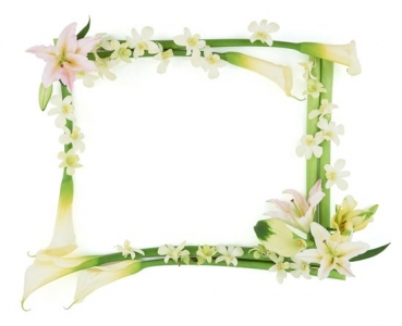 Frame with flowers design