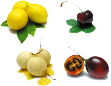 fruits-and-vegetables-psd6