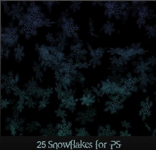 winter snowflakes layout