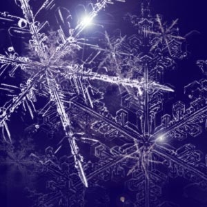 winter snowflakes for photoshop