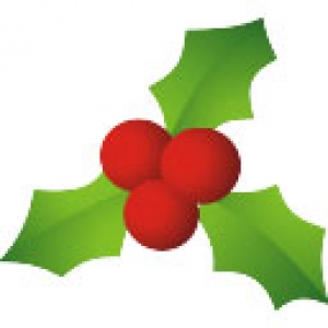 Christmas ornament icon