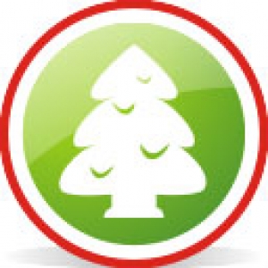 Christmas ornament icon