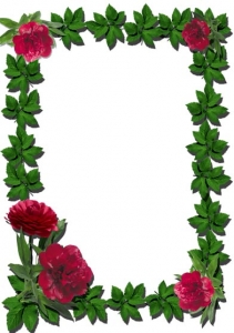 Png flower frame for Photoshop