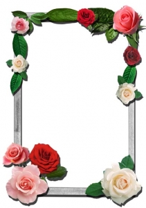 Transparent flower frame for Photoshop