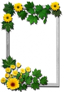 Transparent flower frame for Photoshop