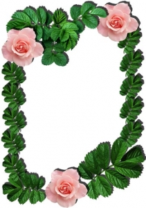 Png flower frame for Photoshop