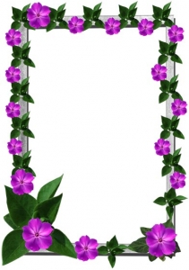 Transparent flower frame for Photoshop