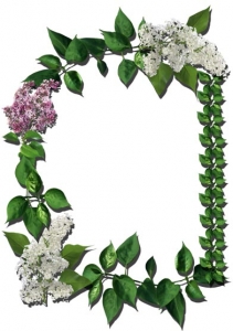 Png flower frame for Photoshop