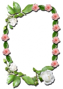 Transparent flower frame for Photoshop