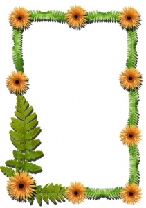 Png flower frame for Photoshop