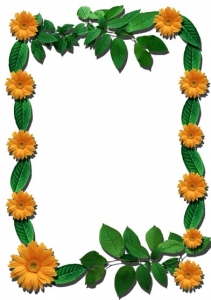 Transparent flower frame for Photoshop