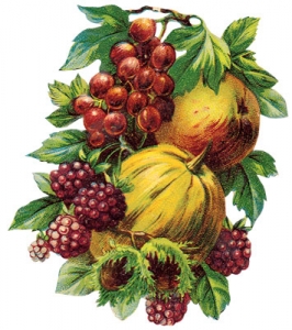 Png fruit clipart