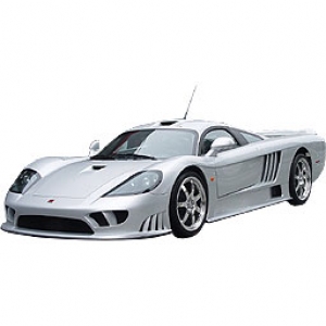 saleen icon