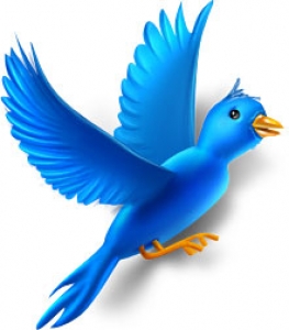Twitter bird icons