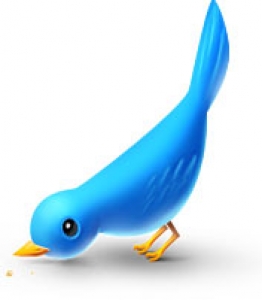 Twitter bird icons