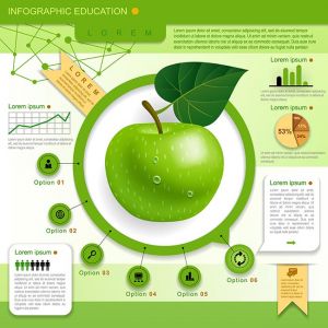 Education Template