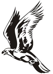 Predatory birds vector