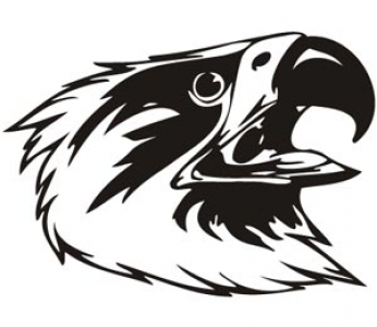 Predatory birds vector