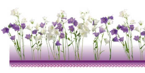 Psd floral border frame